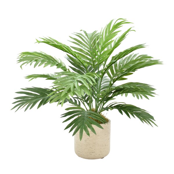 Areca Floor Palm Plant in Pot by Greyleigh