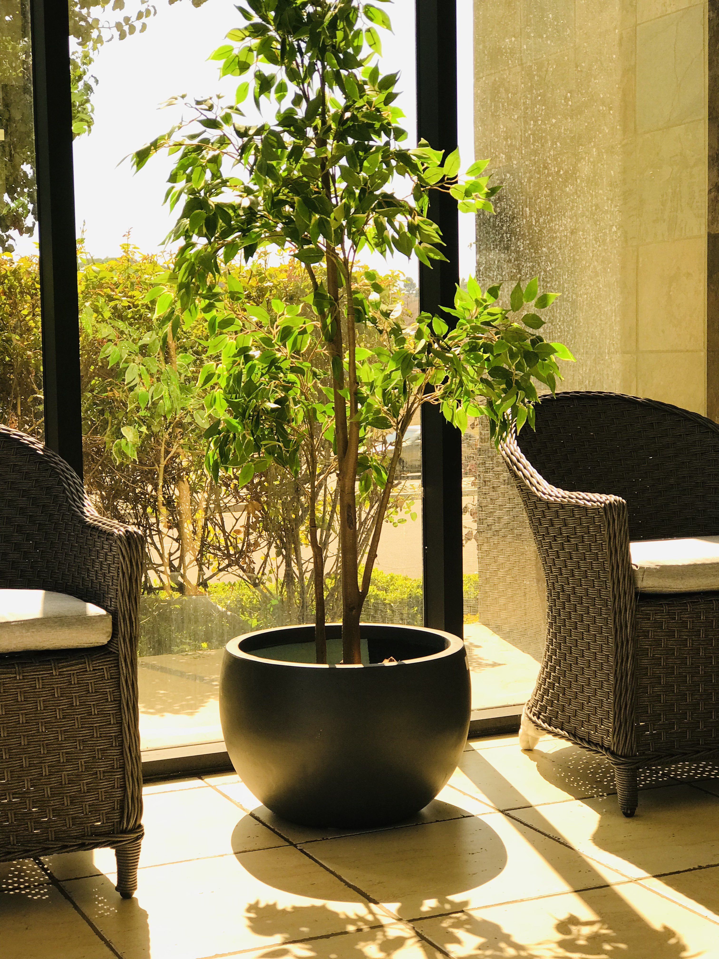 wayfair balcony planters on Brayden Studio Bunche Concrete Pot Planter Wayfair