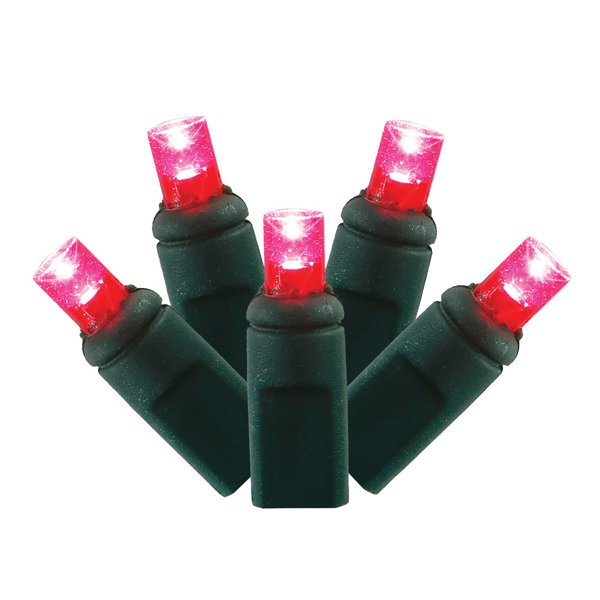 50 Light LED Lights by The Holiday Aisle