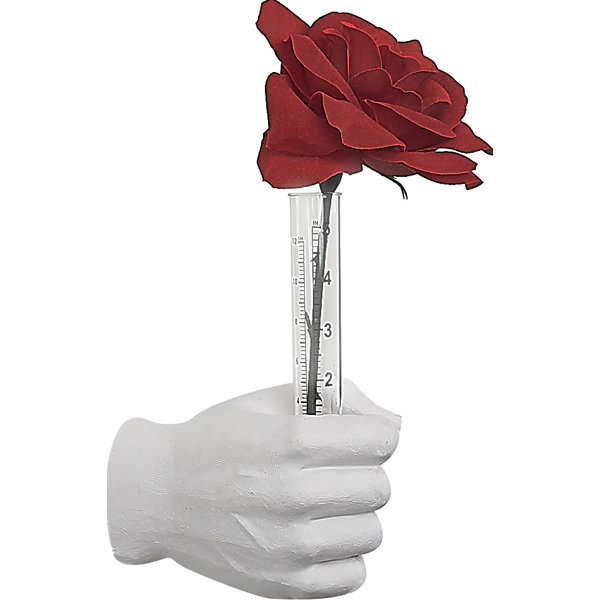 Interior Illusions Test Tube Wall Vase & Reviews Wayfair