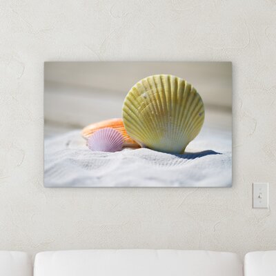 'Shells' Wrapped Canvas Photograph on Canvas Rosecliff Heights Size: 8