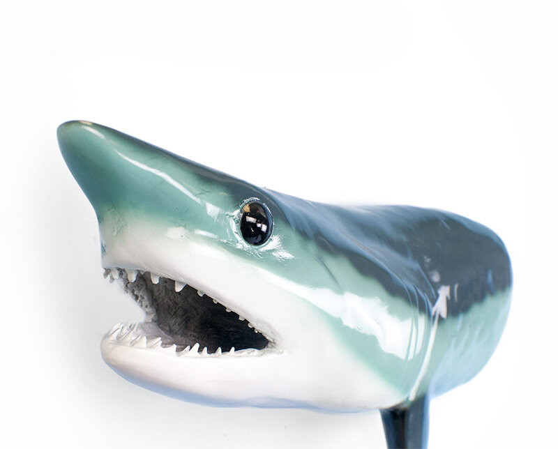 Highland Dunes Giant Mako Shark Wall Decor Wayfair