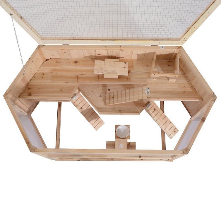 black tri color aussie