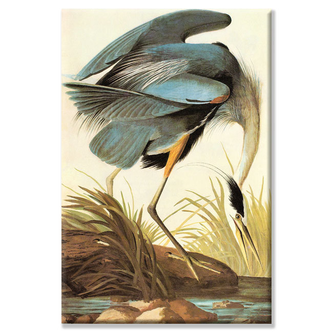 Buyenlarge Great Blue Heron Painting Print On Wrapped Canvas Reviews Wayfair