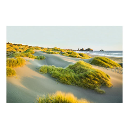 Dunes and Grass by the Sea 1.9m x 2.88m Textured Matt Peel & Stick Wall Mural East Urban Home