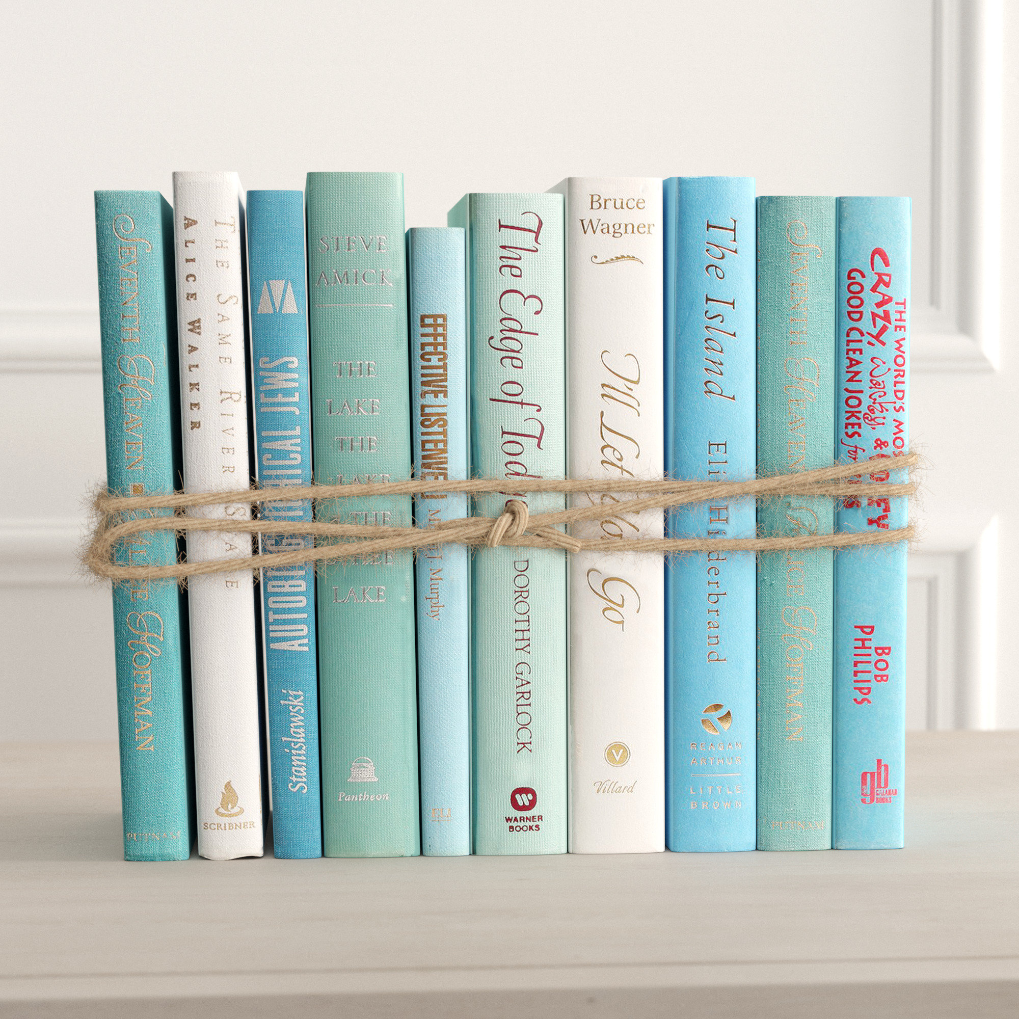 Authentic Decorative Books By Color Modern Ocean Colorpak 1