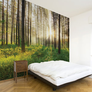 Wall Murals wall murals you'll love | wayfair Wall Murals wall murals you'll love | wayfair