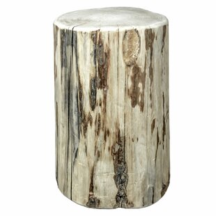 Tree Stump End Side Tables You Ll Love In 2020 Wayfair