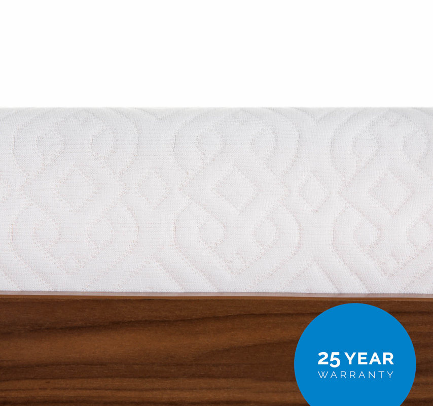 Lucid 6" Firm Memory Foam Mattress & Reviews Wayfair