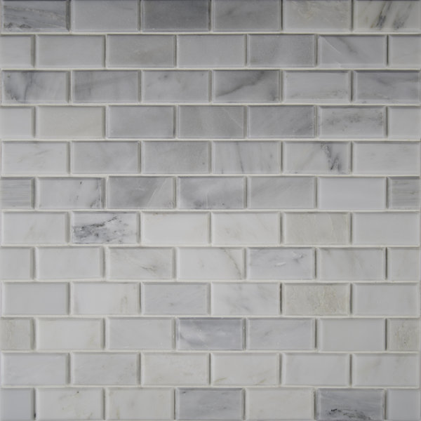 Arabescato Carrara Greecian Mounted 2 x 4 Marble Mosaic Tile in White by MSI