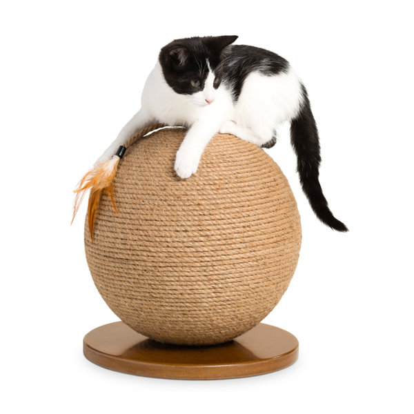 Cat Scratchers Scratching Posts