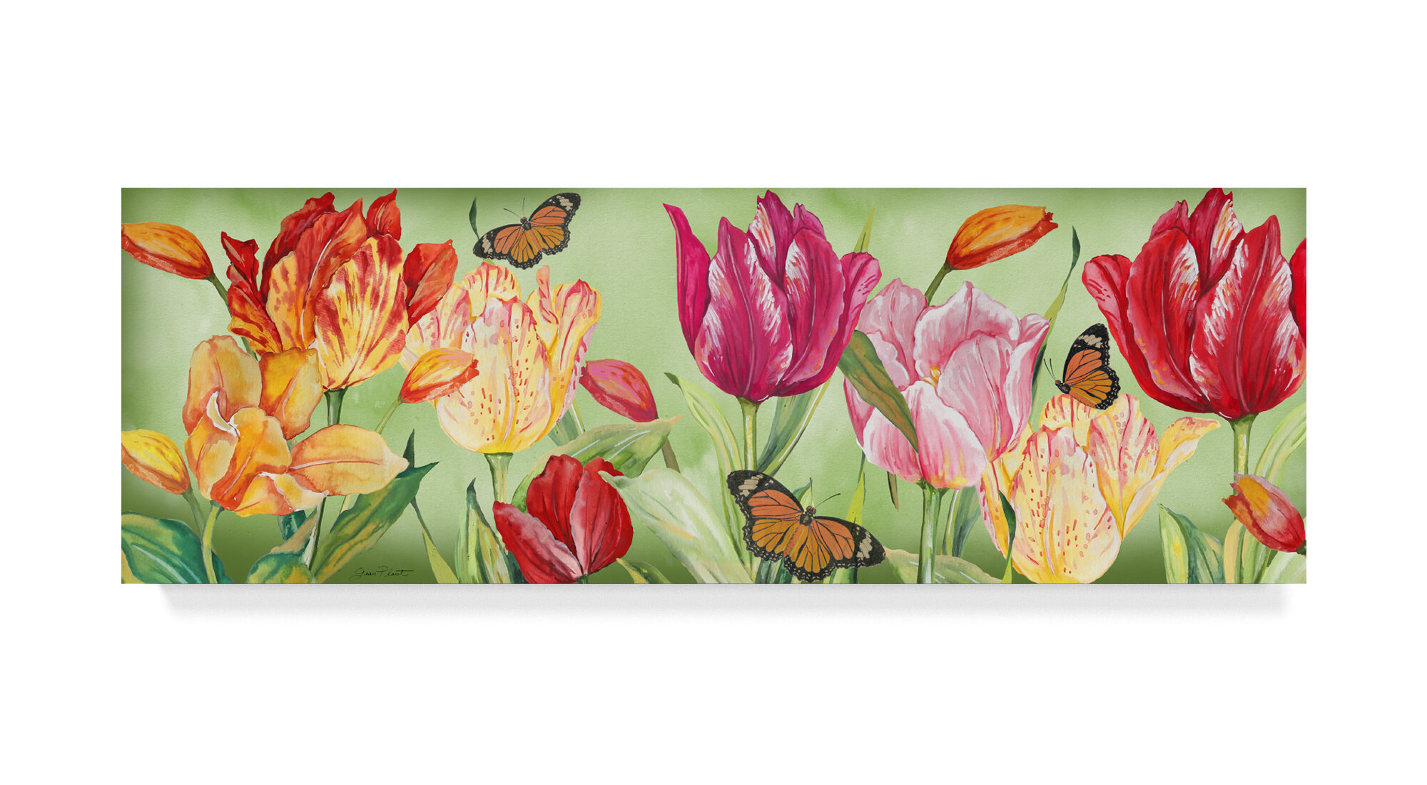 Trademark Art Jean Plout Tulip Garden Wrapped Canvas Graphic Art Print Wayfair