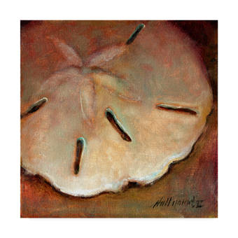 Trademark Art Sand Dollar Centered Acrylic Painting Print On