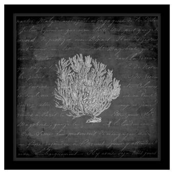 Ashton Wall Décor Llc Kingfisher Ii Framed Photographic Print On Wrapped Canvas Wayfair