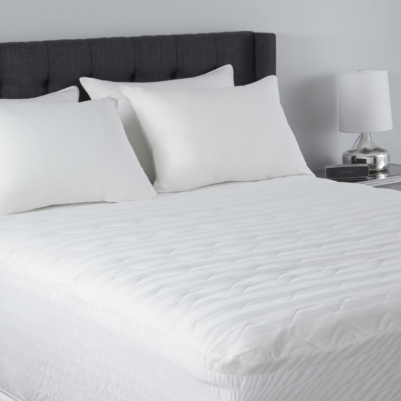 Simmons Beautyrest Cotton Mattress Pad & Reviews Wayfair