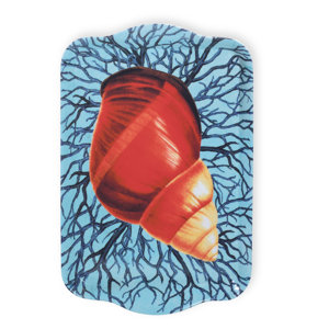 Caskata Studio Sea Spiral Snack Tray (Set of 2)