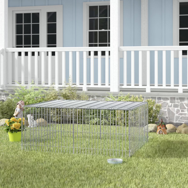 portable lizard cage