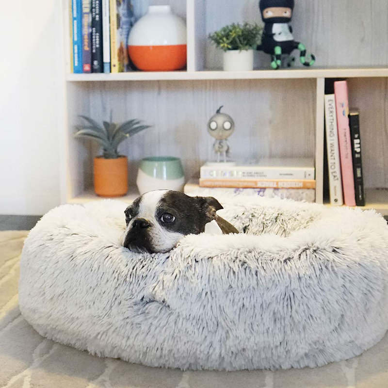 wirecutter dog bed