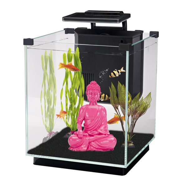 Simplicity 5.5 Gallon Desktop Aquarium Tank by Penn Plax