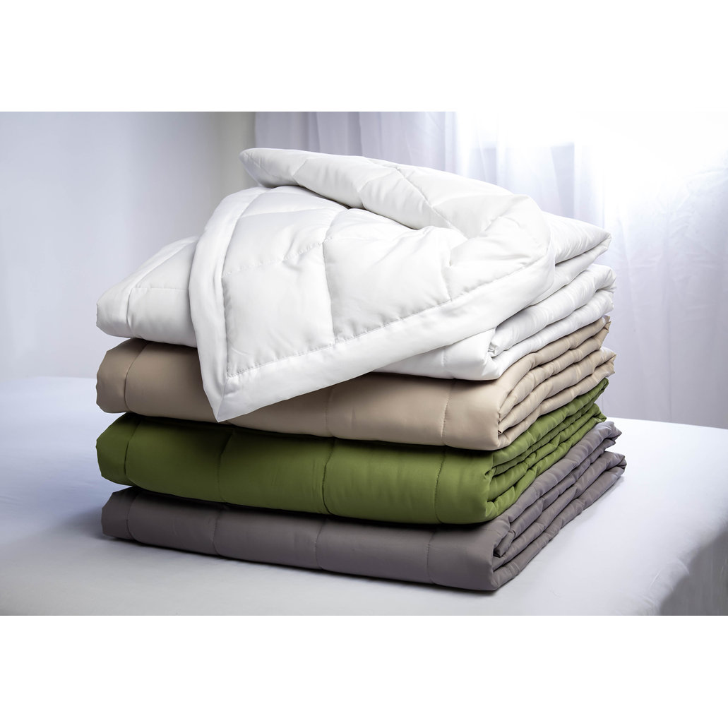 Waverly Peachy® Down Alternative Blanket & Reviews Wayfair