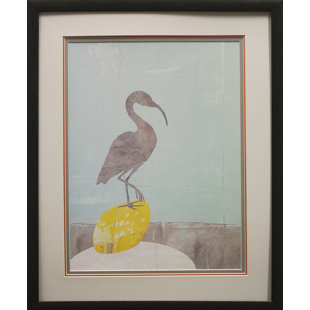 Studio Decor Collage Frames Wayfair Heron Collage Framed Graphic Art Print On Paper