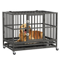 collapsible kennel