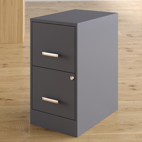 Wooster 2 Drawer Vertical Filing Cabinet by Wrought Studio