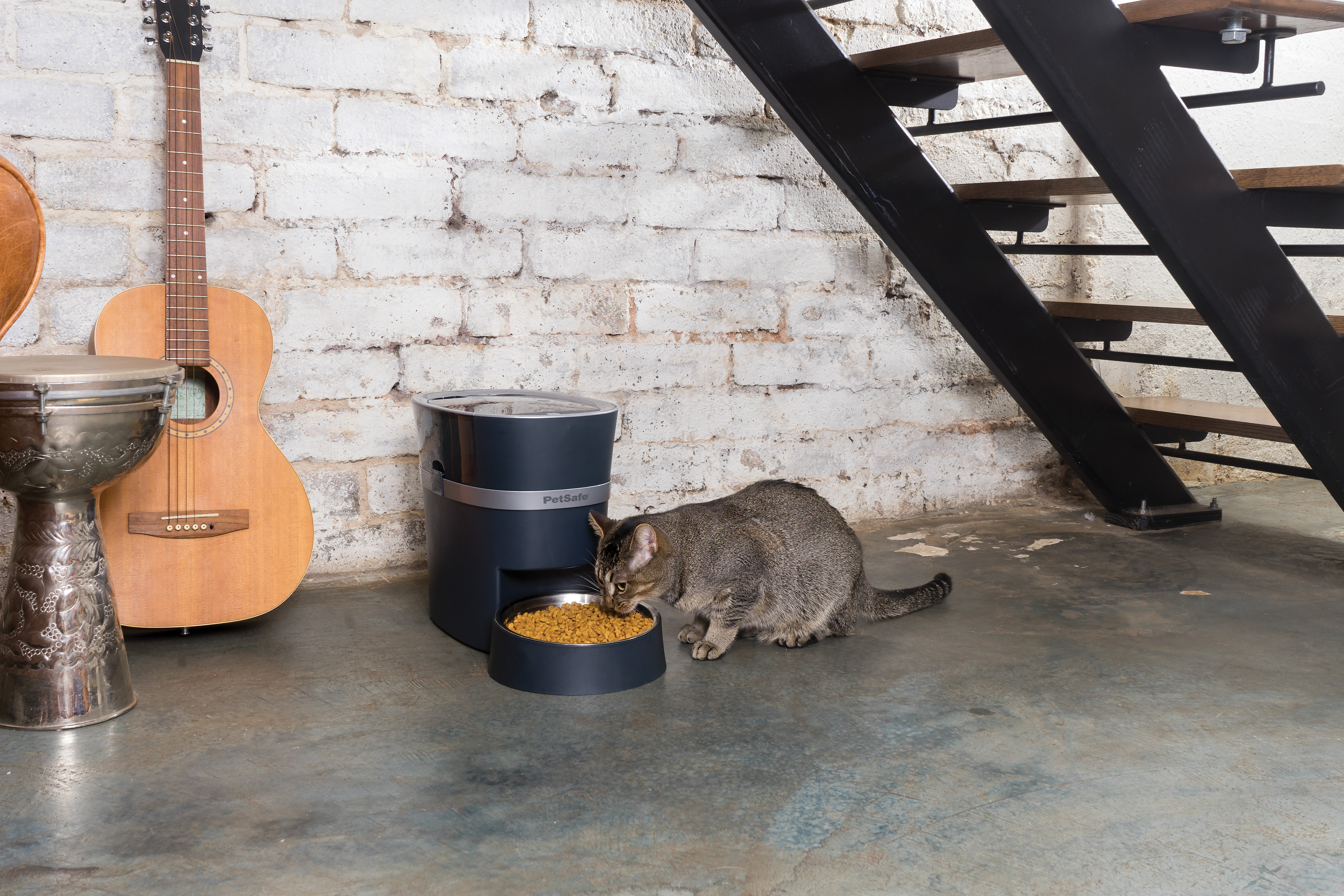 petsafe feed pet feeder