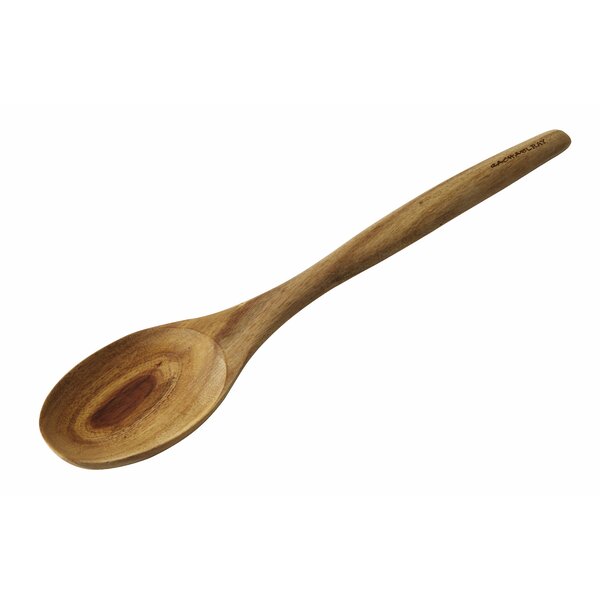 Cucina Solid Spoon by Rachael Ray
