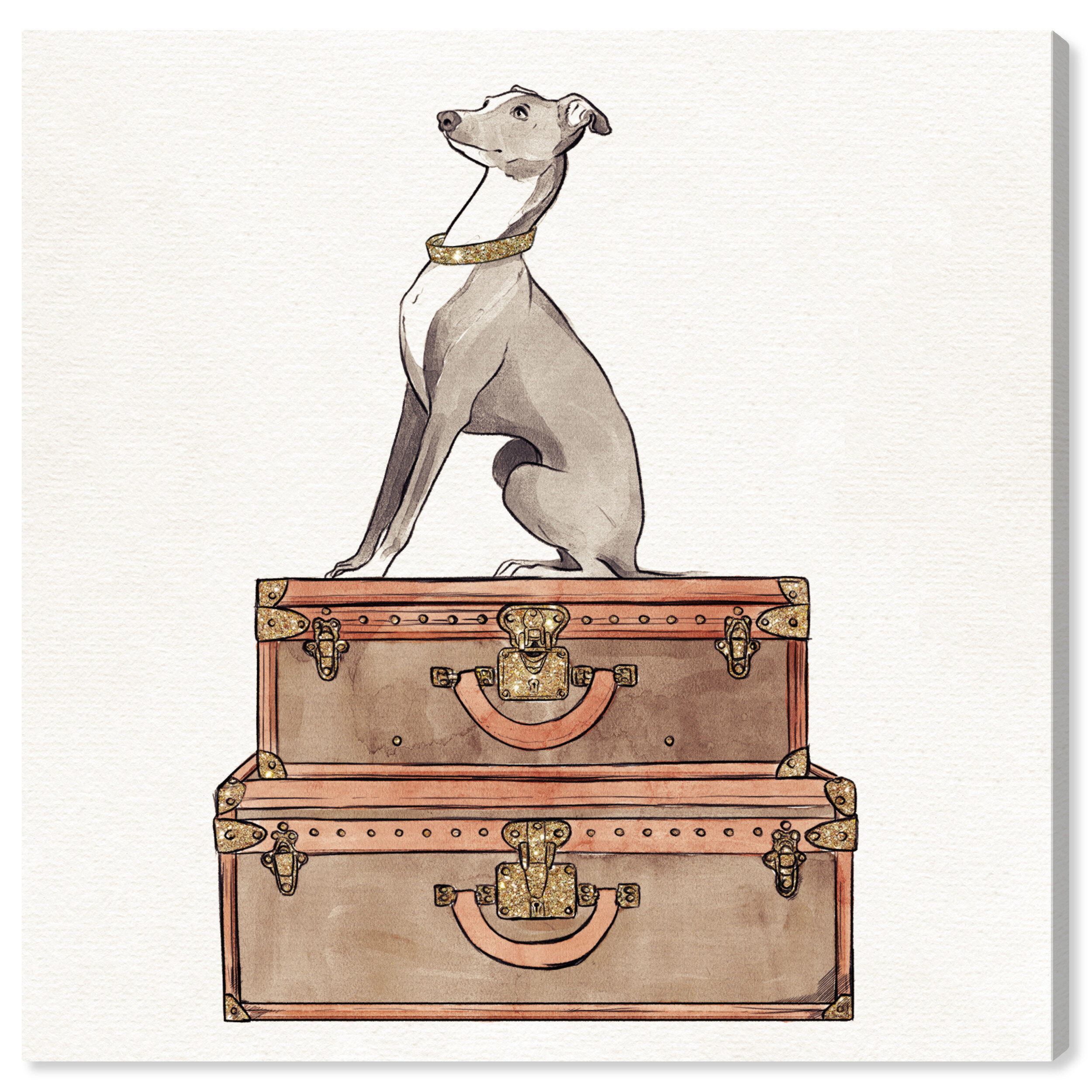 greyhound extra baggage