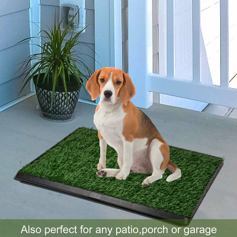 grass scented pee pads
