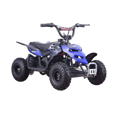 Terrian Mini Electric Quad Bike SKRT