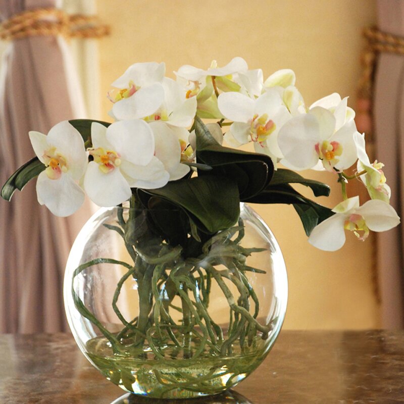 Jane Seymour Botanicals Phalaenopsis Orchid Floral Arrangement in ...