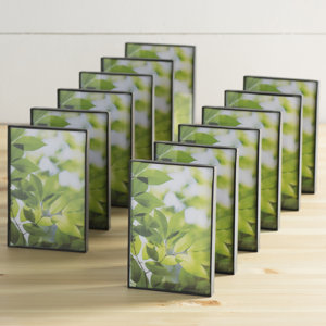 Wayfair Basics 12 Piece Desk Picture Frame Set (Set of 12)