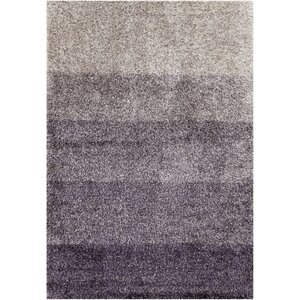 Metzler Gray/Ivory Area Rug