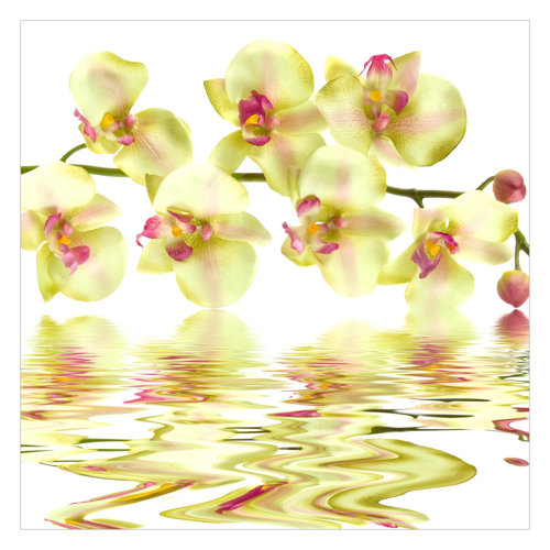 Dreamy Orchid Waters 3.36m x 3.36m Textured Matte Peel & Stick Wall Mural East Urban Home