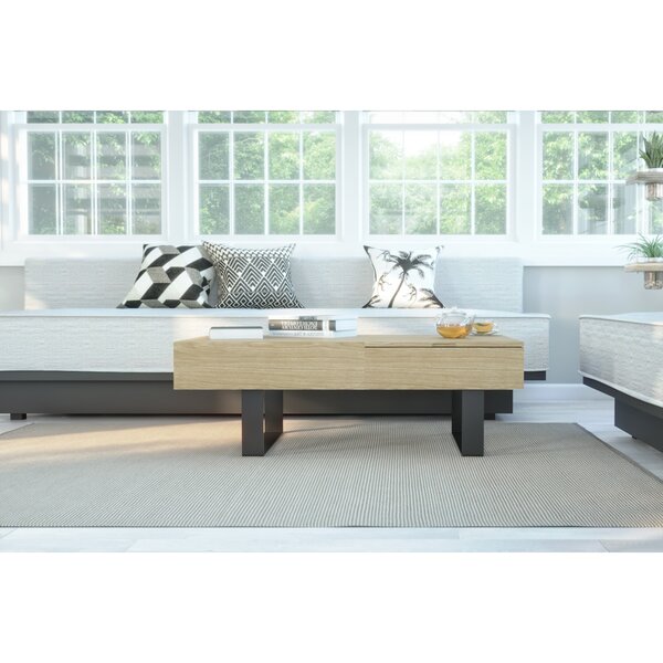 Hawkin Lift-Top Coffee Table With Storage By Union Rustic