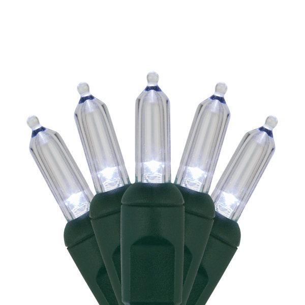 LED 50 Light String Light by The Holiday Aisle