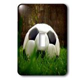 Soccer Ball Ceiling Light Wayfair