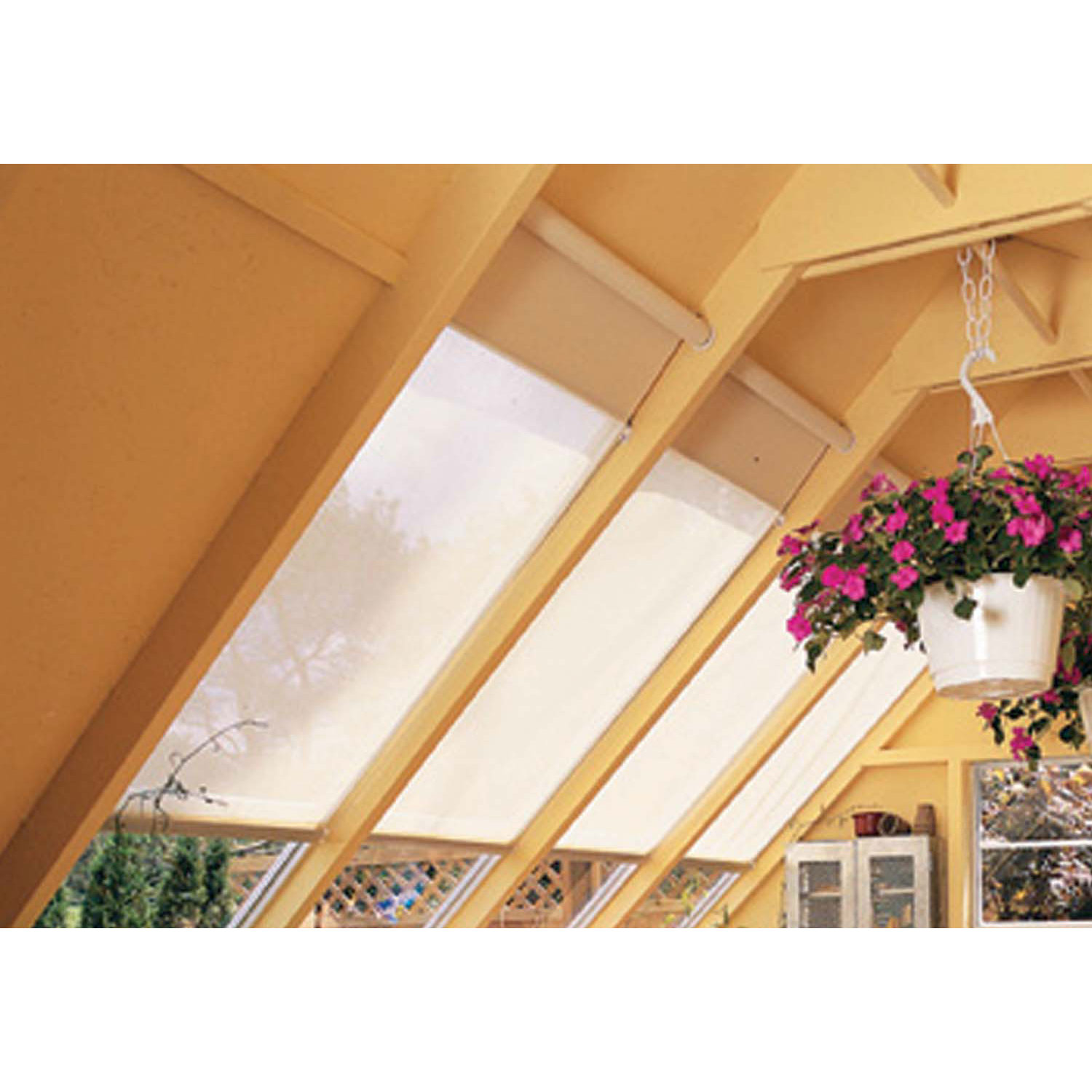 Handy Home Phoenix Solar Shade & Reviews Wayfair