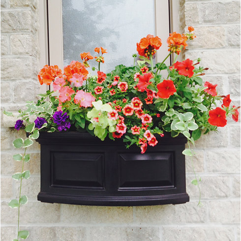 Mayne Inc. Nantucket Self-Watering Plasti c Window Box