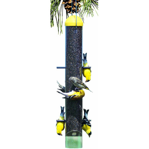 Woodstream Wildbird Upside Down Tube Bird Feeder & Reviews | Wayfair