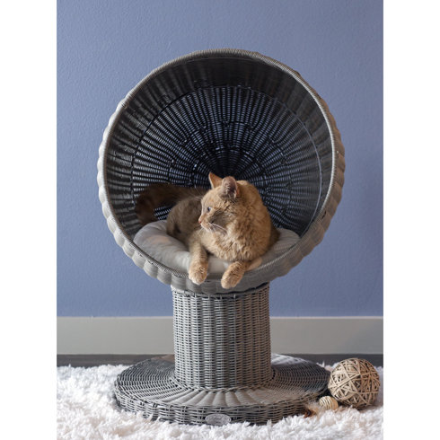 refined feline kitty ball