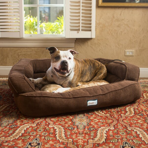 Beautyrest Colossal Rest Orthopedic Memory Foam Extra Large Dog Bed by R2P Pet Ltd.