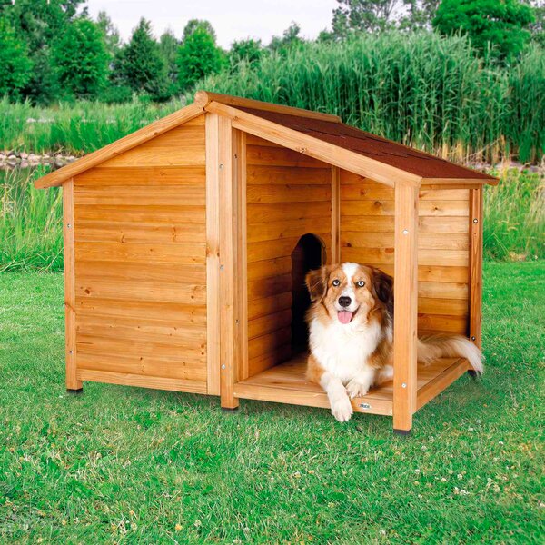 rustic dog house