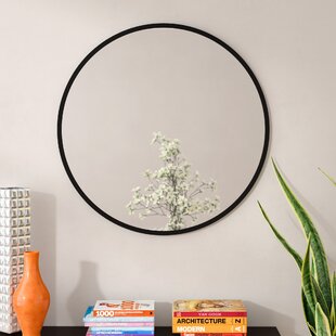 Funky Mirrors Wayfair