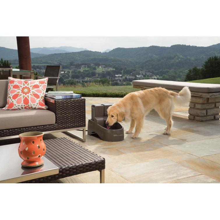 outdoor dog fountain