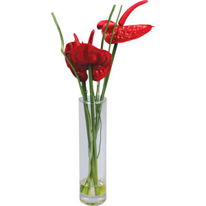 Anthurium in Vase