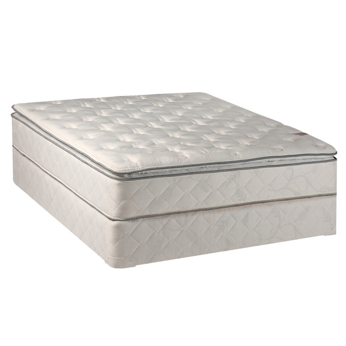 Alwyn Home Apollonia 10 Medium Pillow Top Mattress And Box Spring