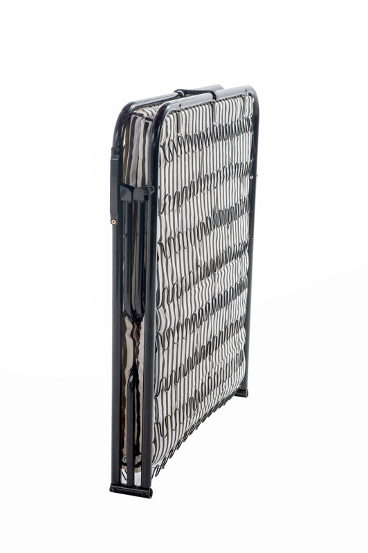 Hazelwood Home Folding Bed with Mattress & Reviews Wayfair